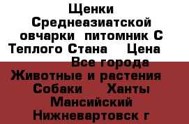 Щенки Среднеазиатской овчарки (питомник С Теплого Стана) › Цена ­ 20 000 - Все города Животные и растения » Собаки   . Ханты-Мансийский,Нижневартовск г.